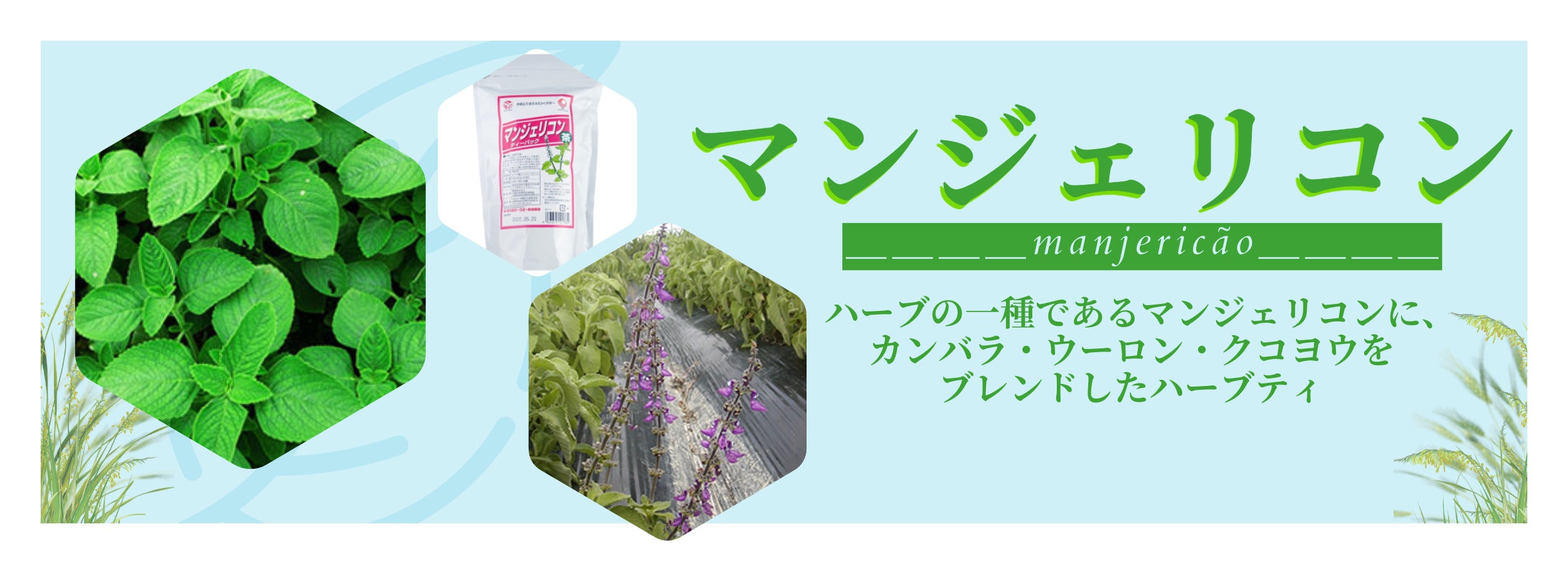 マンジェリコンとカンバラ、ウーロン、クコヨウ