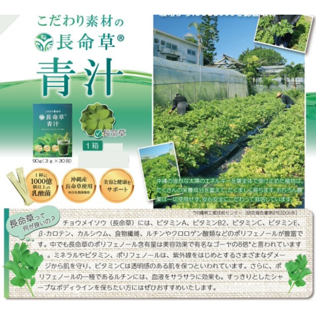 長命草って何が良いの?
